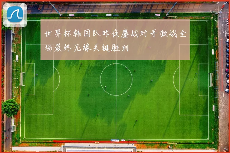 世界杯韩国队昨夜鏖战对手激战全场最终无缘关键胜利