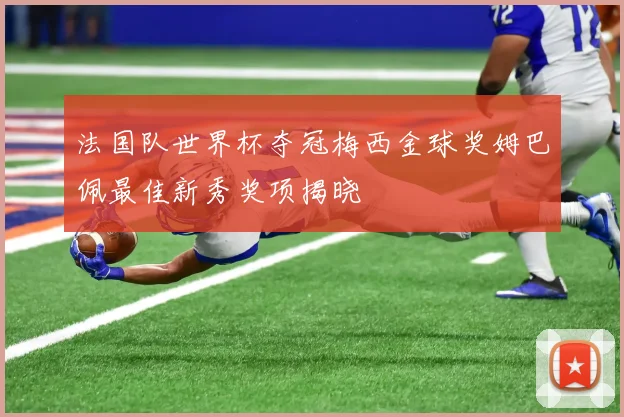 法国队世界杯夺冠梅西金球奖姆巴佩最佳新秀奖项揭晓